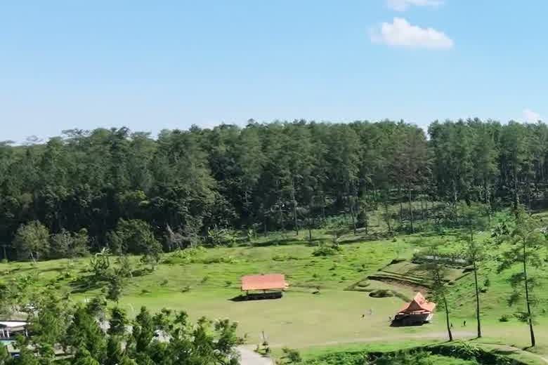 Pradera del predio con dos techos anaranjados y el monte cerrado al fondo.